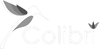 ERP COLIBRI 365